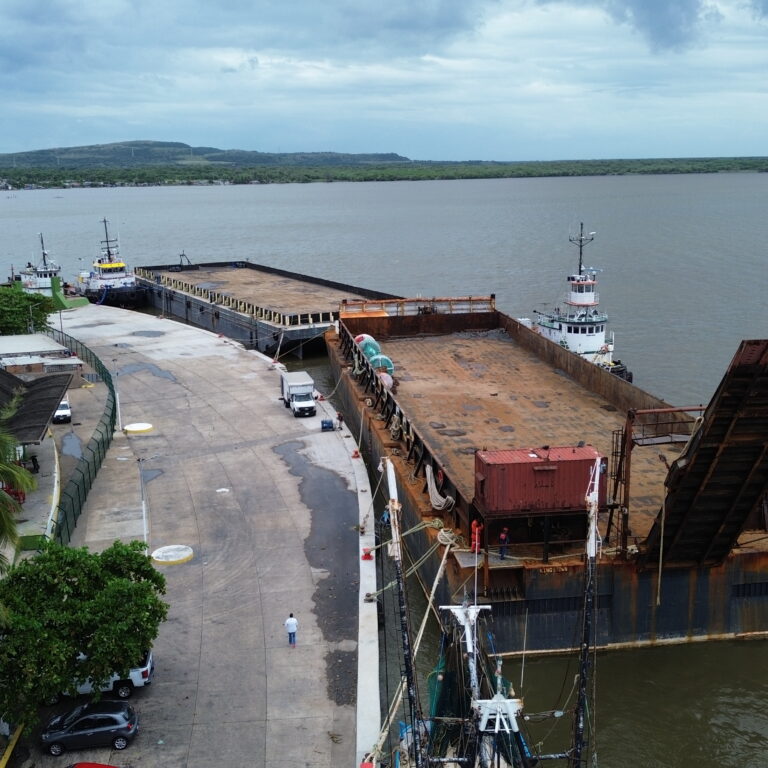 DCIM100MEDIADJI_0095.JPG