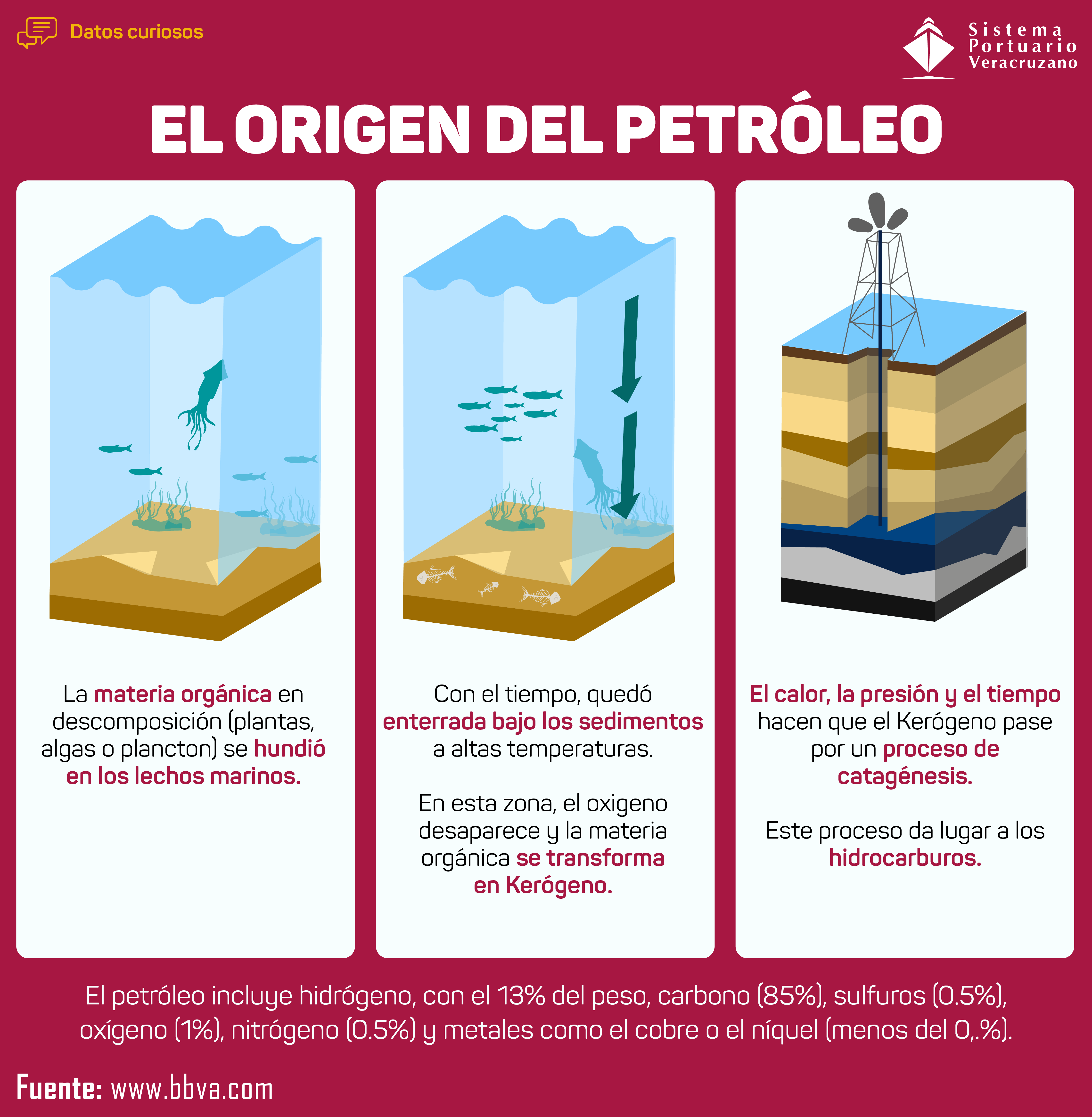 ¿Conoces el origen del #Petróleo?🤓 Aquí te explicamos como se origina